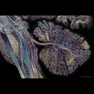 Meet your Posher, Robyn